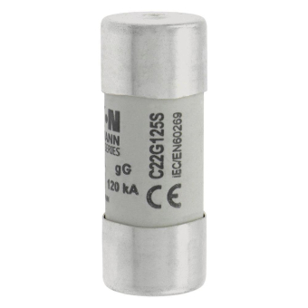 EATON Sicherungseinsatz Nsp.    C22G125S 
