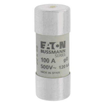 EATON Sicherungseinsatz Nsp.    C22G100S 