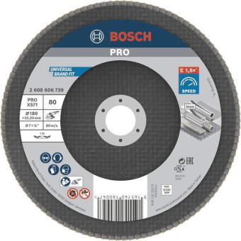 Bosch Fächerschleifscheibe    2608606739 