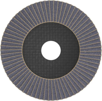 Bosch Fächerschleifscheibe    2608605450 