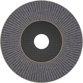 Bosch Fächerschleifscheibe    2608606924 