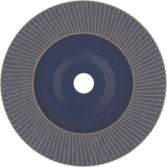 Bosch Fächerschleifscheibe    2608607343 