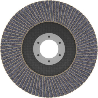 Bosch Fächerschleifscheibe    2608607323 