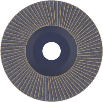 Bosch Fächerschleifscheibe    2608607338 