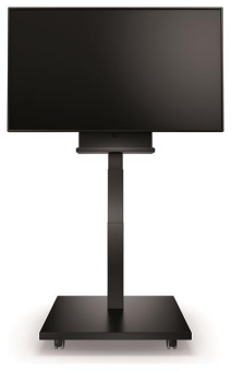 Bachmann Independent Monitor    701.0011 