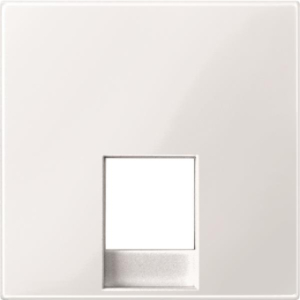 Merten Zentralplatte        MEG4211-0319 