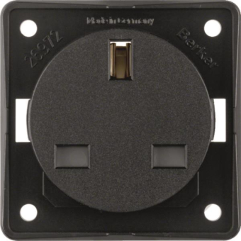 Berker Steckdose m.Schutz-      09626205 