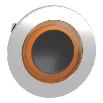 Schneider Frontelement          ZB4FW953 