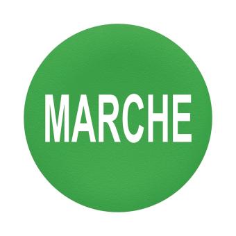 Schneider Tastenschild grün      ZBAF342 