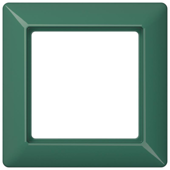 JG Rahmen 1-fach   AS581BFGN 