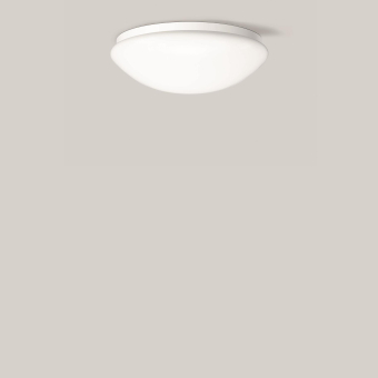 BEGA E-Decken-/Wandleuchte      12133PK3 