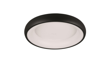 TRIO Deckenleuchte CARDONA 29W 649614532 