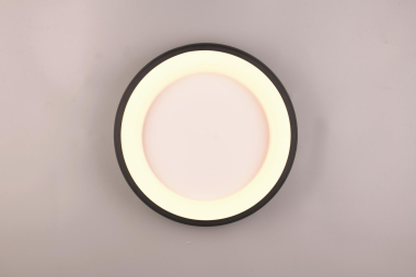 TRIO Deckenleuchte CARDONA 29W 649614532 