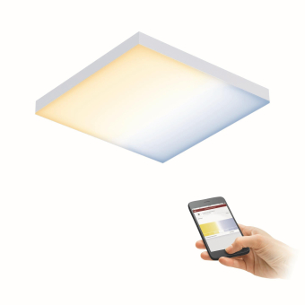 Paulmann WallCeilingVelora LED     79824 