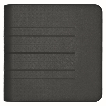 STIEB Grundwasser Station          GWS 2 