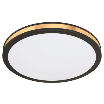 EGLO Wand und Deckenleuchte        99406 