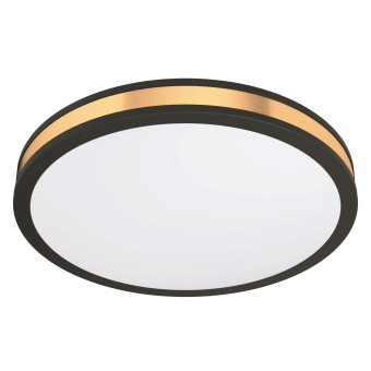 EGLO Wand und Deckenleuchte        99407 