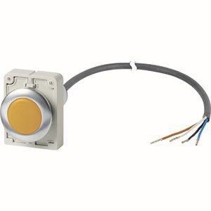 EATON C30C-FL-Y-24-P62            185956 