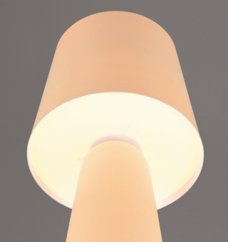 Trio TL NUBIAN, 1x E27 oLM  D. 562900144 