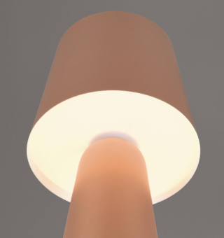 Trio TL NUBIAN, 1x E27 oLM  D. 562900165 