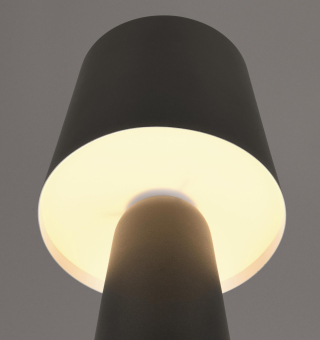 Trio TL NUBIAN, 1x E27 oLM  D. 562900132 