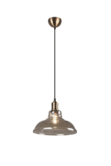 Trio Pendelleuchte ALDO,1x E27 R30731004 