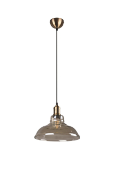 Trio Pendelleuchte ALDO,1x E27 R30731004 