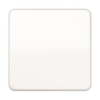 Jung Steuertaste Std.           CD1700WW 