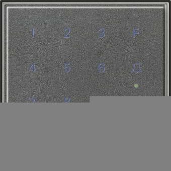 GIRA 260567 Keyless In Codetastatur 