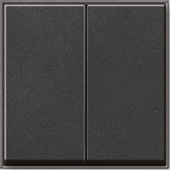 GIRA 029567 Wippe 2fach TX_44 WG UP 