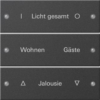 GIRA 2203005 Wippenset 3fach beschreib. 