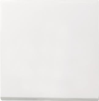 GIRA 029627 Wippe System 55 