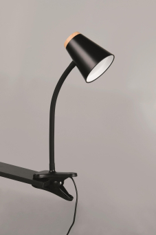Trio LED Klemmleuchte PONGO,   R25831102 