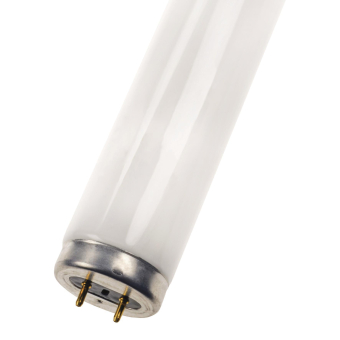 BAIL Bailey BL Leuchtstoffröhre  FT030BL 