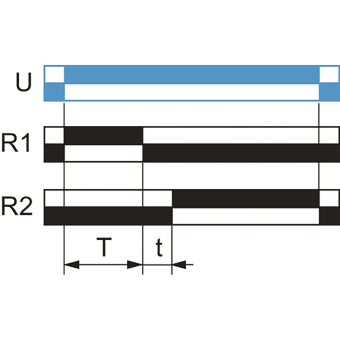 GS Multi-function Timing      RE22R2MYMR 