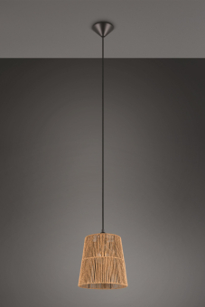 Trio Pendelleuchte HOLM,       R31041026 