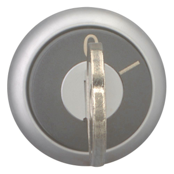 EATON M22-WRS-MS20 Schlüsseltaste 111779 