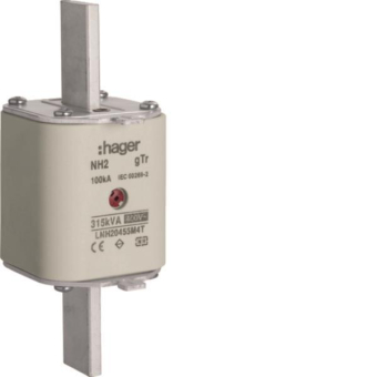 Hager Sicherungseinsatz NH2  LNH20455M4T 