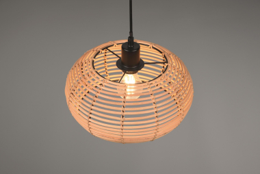 Trio Pendel Leuchte INGA 1xE27 312200136 