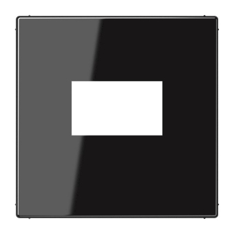 Jung Abdeckung               LS1969USBSW 