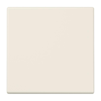 Jung Wippe f.Taster                LS101 