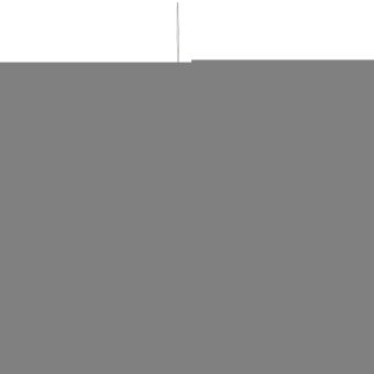 Telemecanique XCKN2106G11 Positions- 