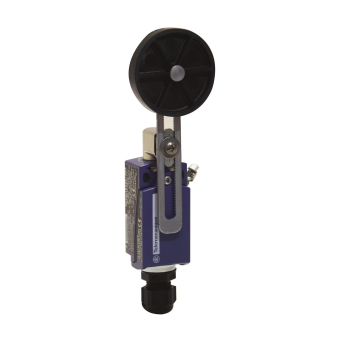Telemecanique XCKD3949P16EX Positionss. 