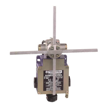 Telemecanique XCKMR54D1H29EX Metallstab 