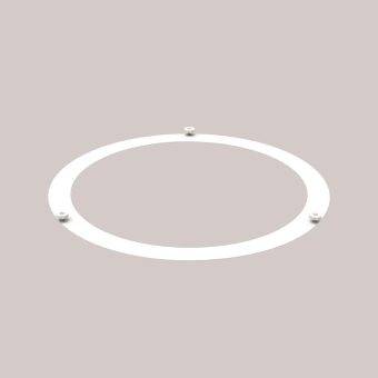 RZB Aufnahmering              982389.002 