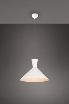 Trio Pendelleuchte ENZO,1x E27 R30781931 