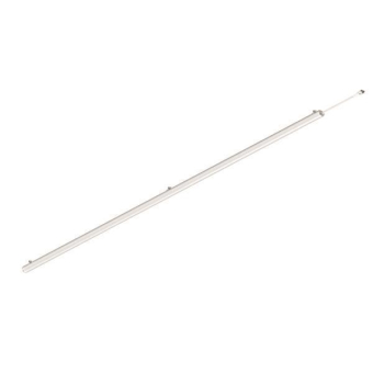 Brumberg                        80020003 