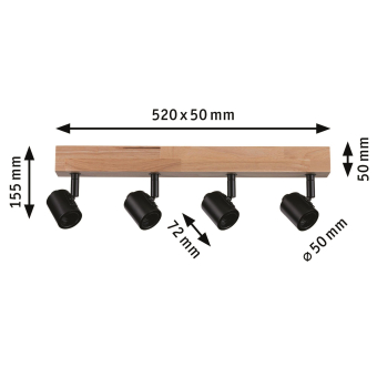 Paulmann Spotlights Arvid max.     66773 