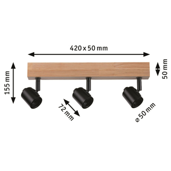 Paulmann Spotlights Arvid max.     66772 