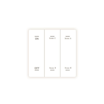 LeuchTek RW2-AW Wandsteuerung     121907 